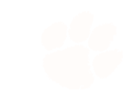Elite Tiger Golf Camps